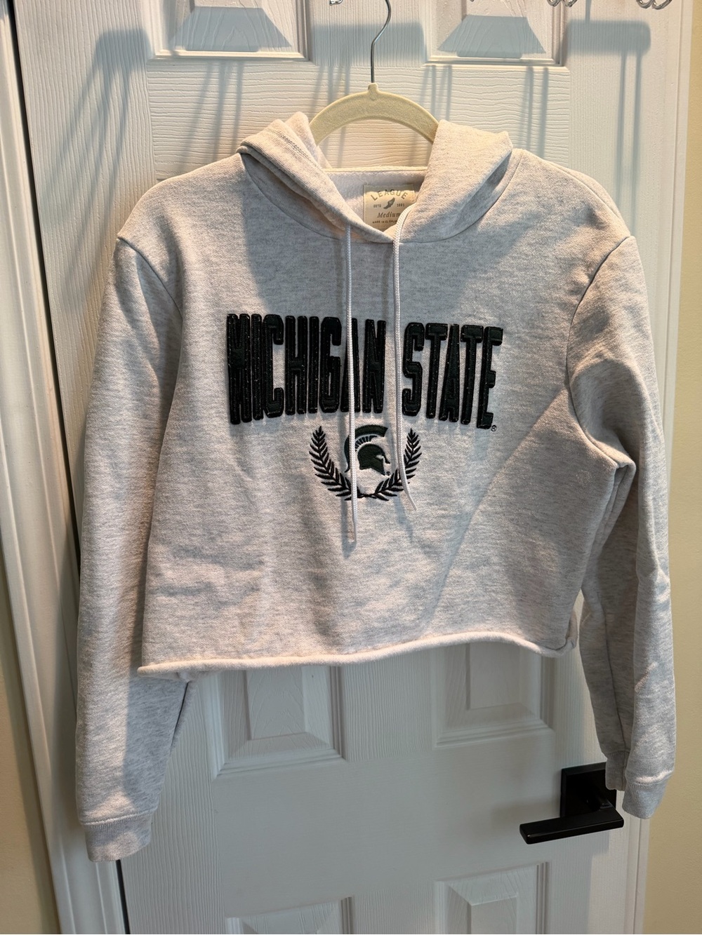 Women's Michigan State Cropped Hoodie - League Brand